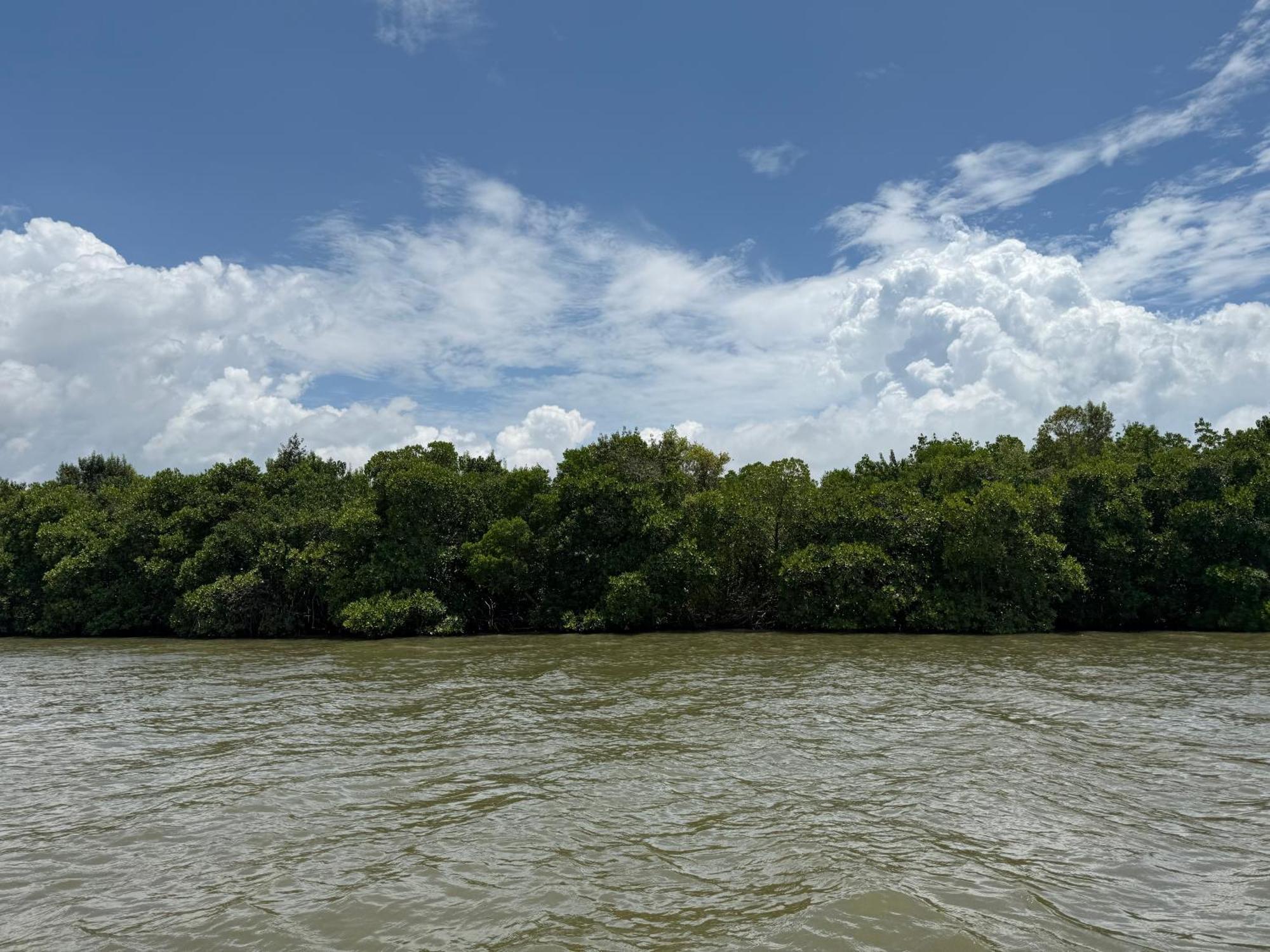 Agro Village Resort , Kalpitiya Buitenkant foto